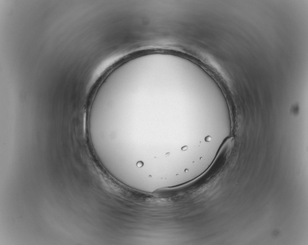 X0000089871320200707262141