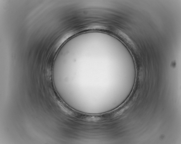 X0000089871321200707262141