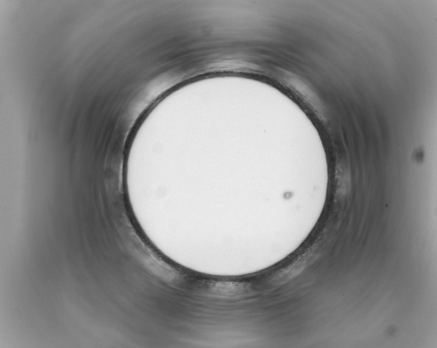 X0000089871322200707262141