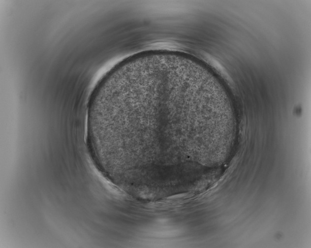 X0000089871323200707262141