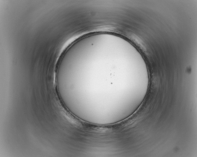 X0000089871324200707262141