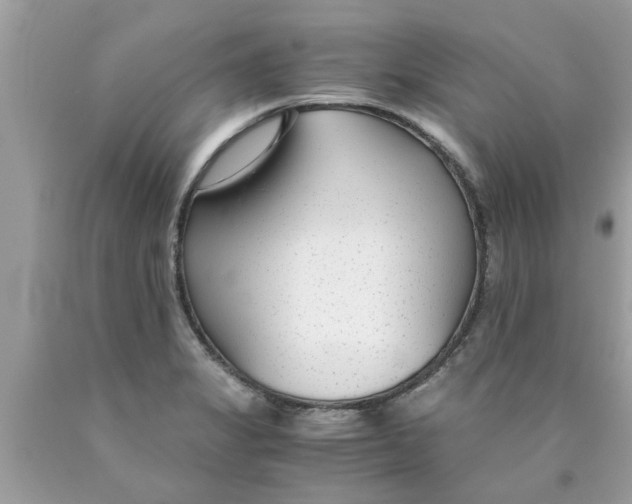 X0000089871325200707262141