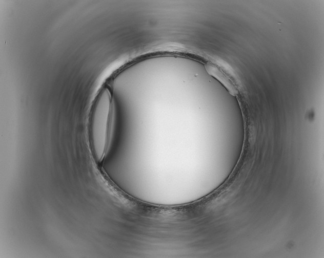 X0000089871326200707262141