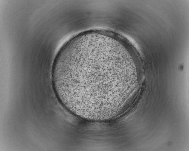 X0000089871327200707262141