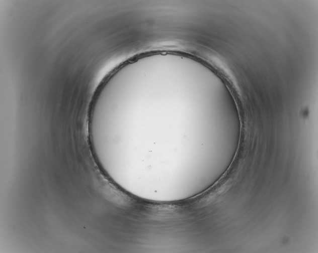 X0000089871328200707262141