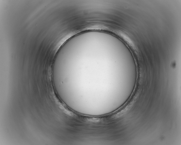 X0000089871329200707262141