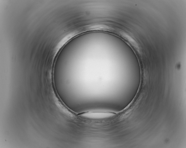 X0000089871330200707262141