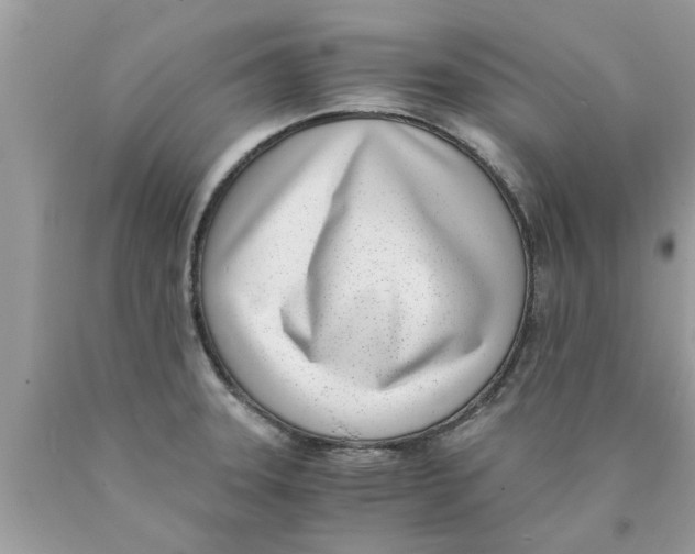 X0000089871331200707262141