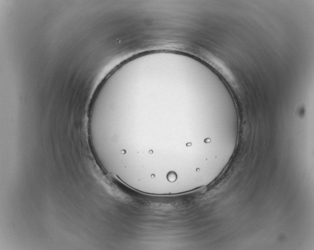 X0000089871332200707262141