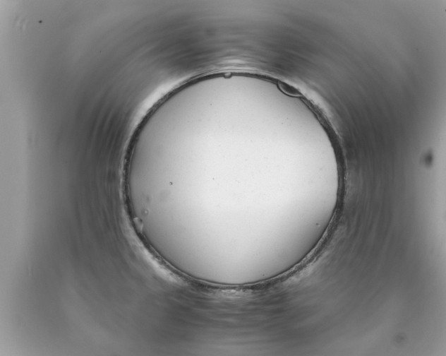 X0000089871333200707262141