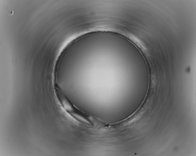 X0000089871334200707262141