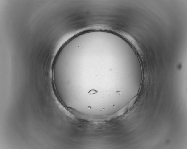 X0000089871335200707262141