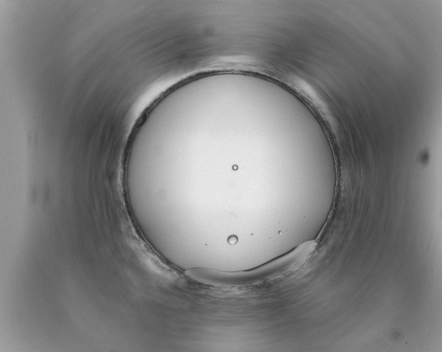 X0000089871336200707262141