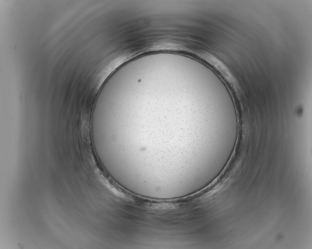 X0000089871337200707262141