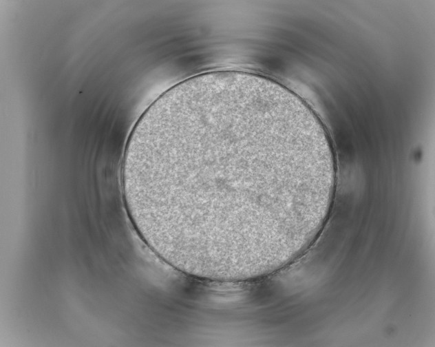 X0000089871338200707262141