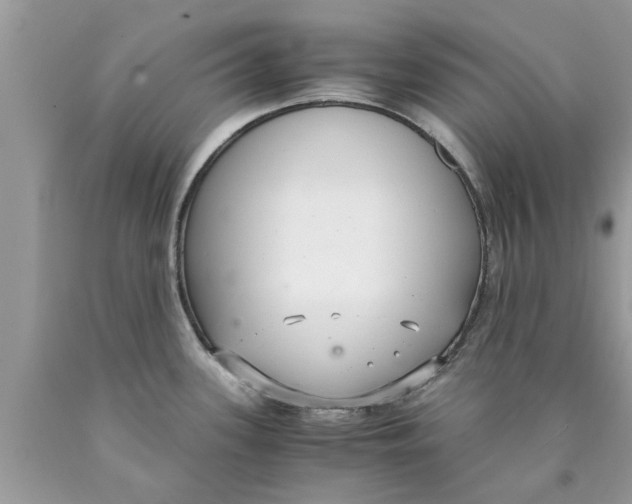 X0000089871339200707262141