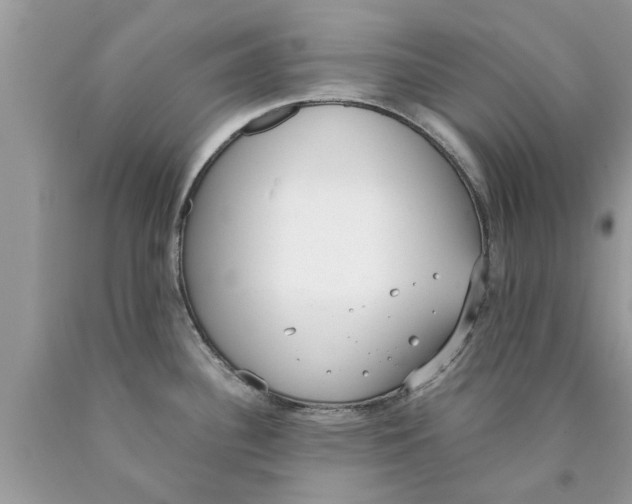 X0000089871340200707262141