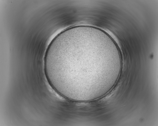 X0000089871341200707262141