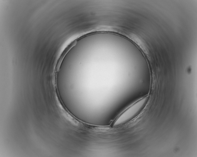 X0000089871342200707262141