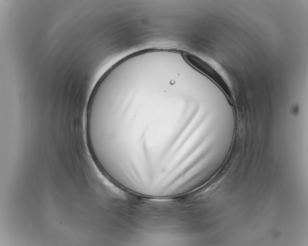 X0000089871343200707262141