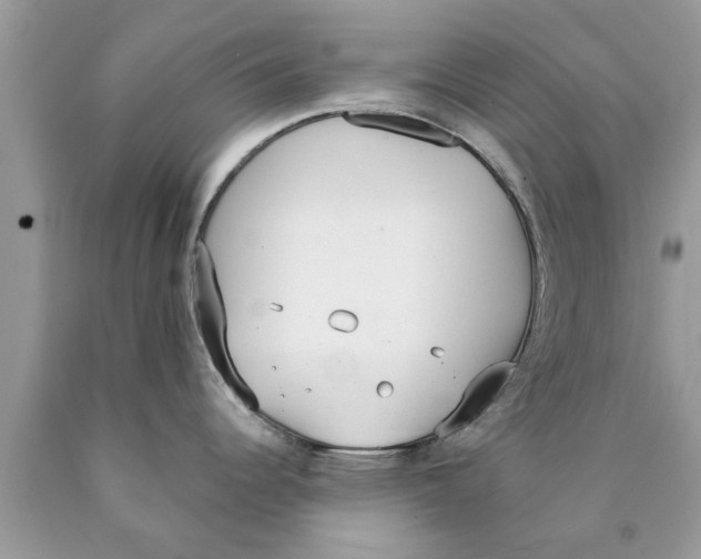 X0000089871344200707262141