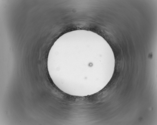 X0000089871345200707262141