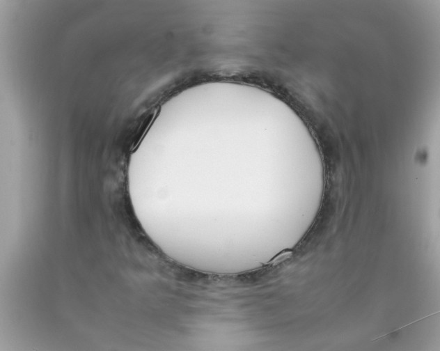 X0000089871349200707262141