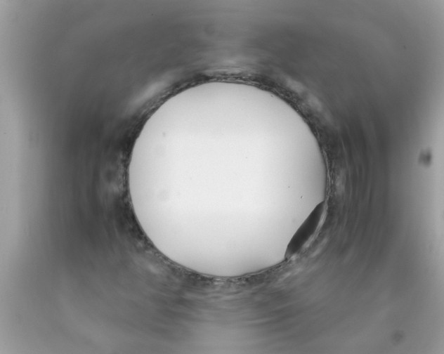 X0000089871350200707262141