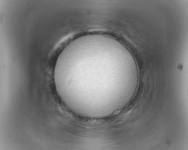 X0000089871351200707262140