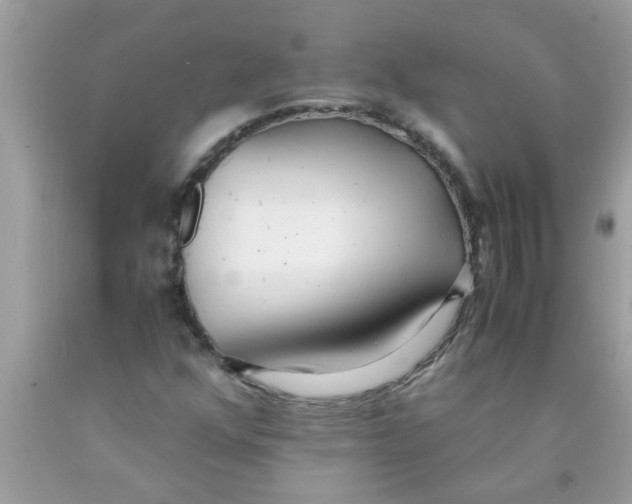 X0000089871352200707262140