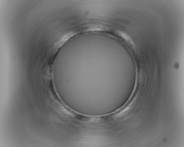 X0000089871353200707262140