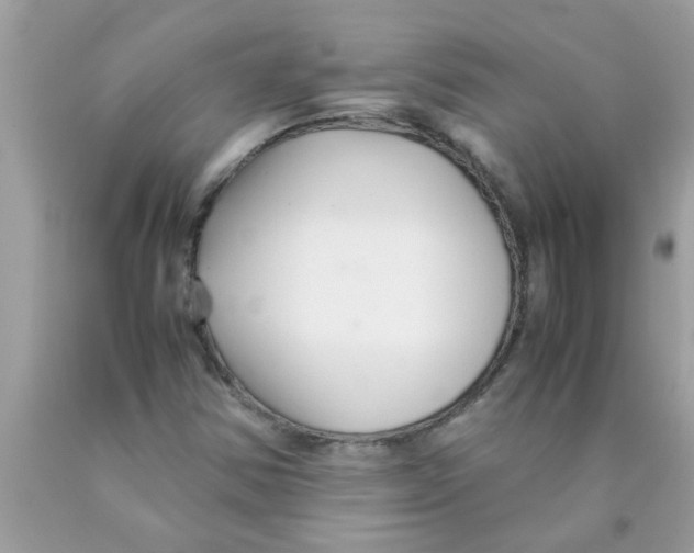 X0000089871354200707262140