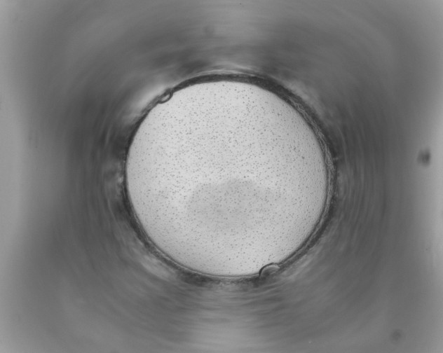 X0000089871355200707262140