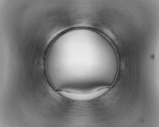 X0000089871356200707262140