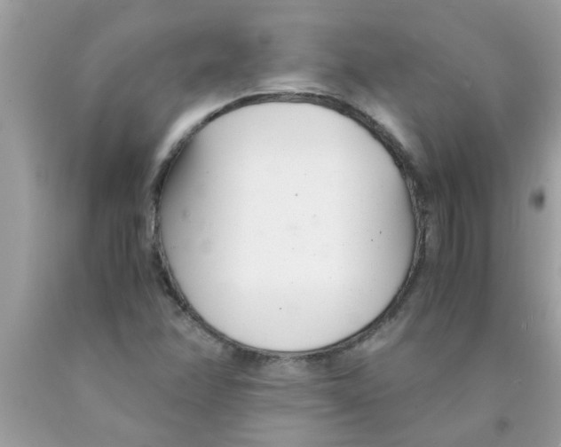 X0000089871358200707262140