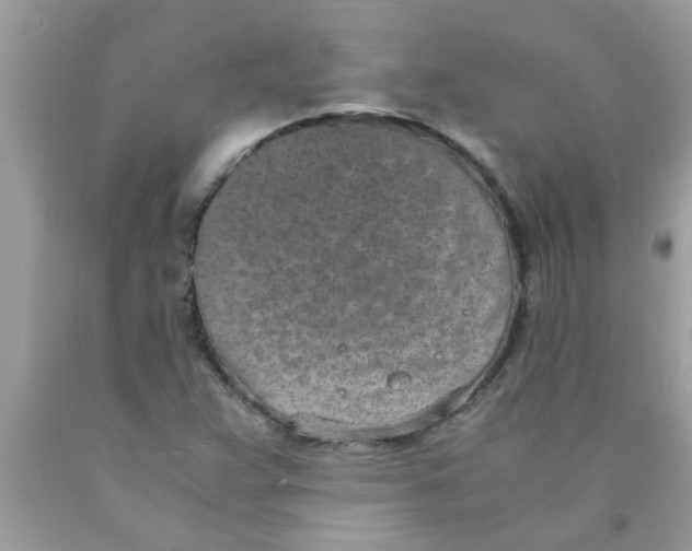 X0000089871359200707262140