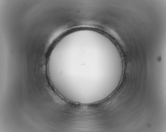 X0000089871360200707262140