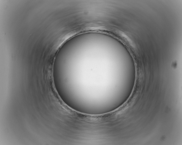 X0000089871361200707262140