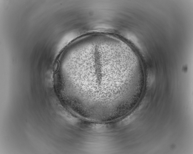 X0000089871362200707262140