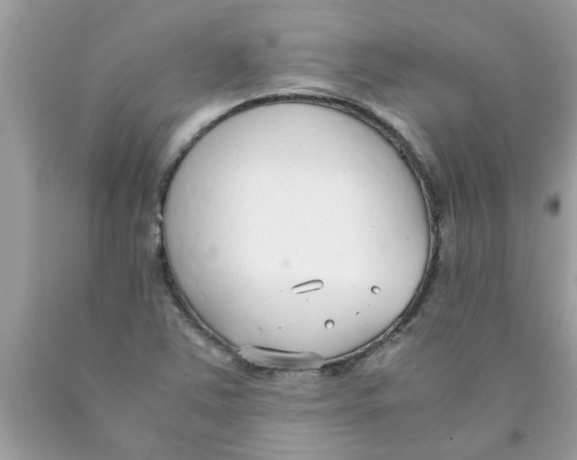 X0000089871363200707262140