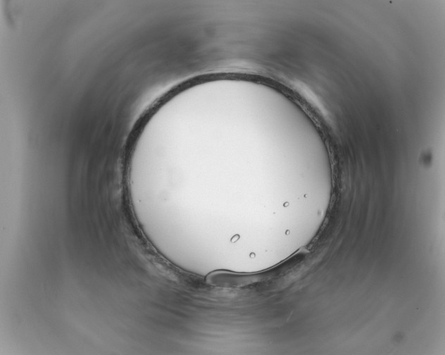 X0000089871364200707262140