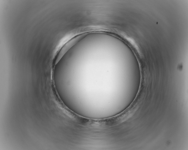 X0000089871365200707262140