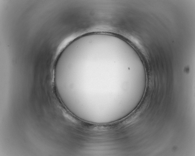 X0000089871366200707262140