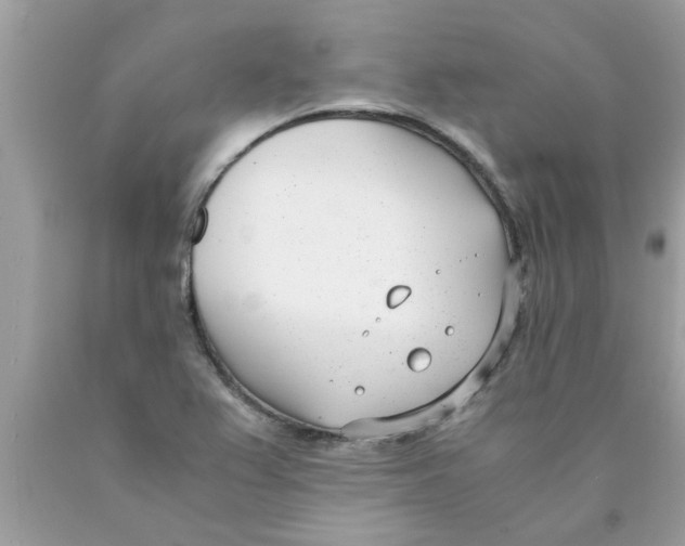 X0000089871367200707262140