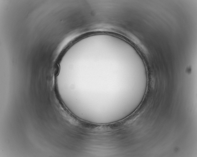 X0000089871368200707262140