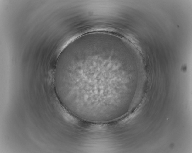 X0000089871369200707262140