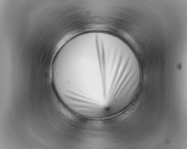 X0000089871370200707262140