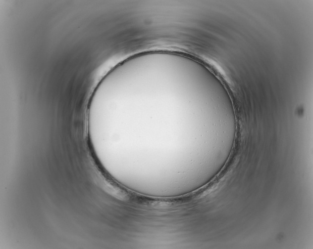 X0000089871371200707262140