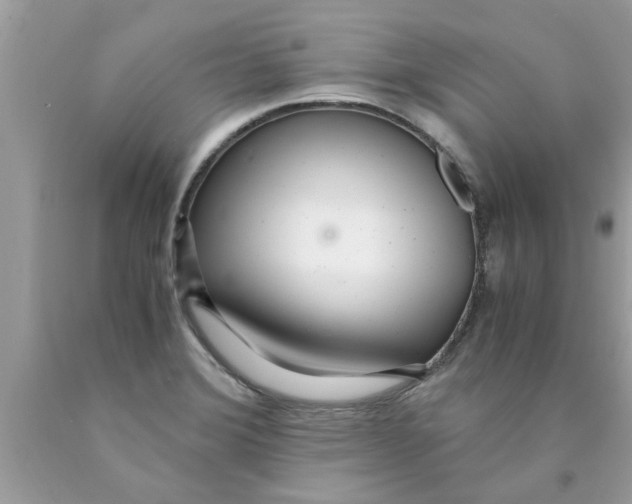 X0000089871372200707262140