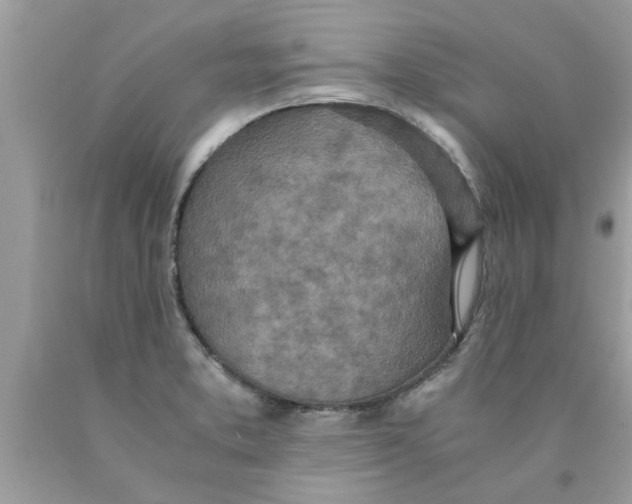 X0000089871373200707262140